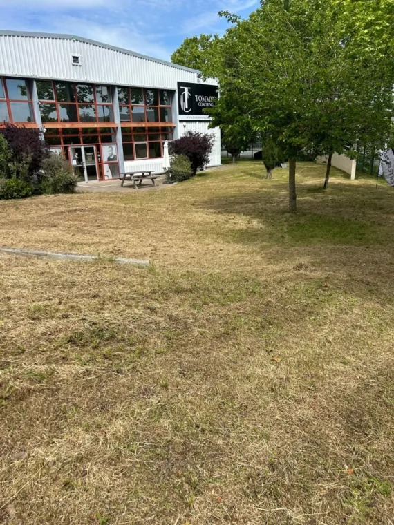 Remise en état d'espace vert à Colomiers , Colomiers, Eco BB